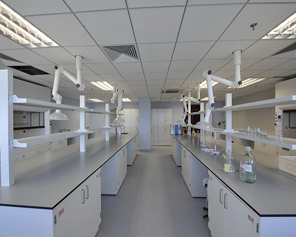 91香蕉APP在线观看