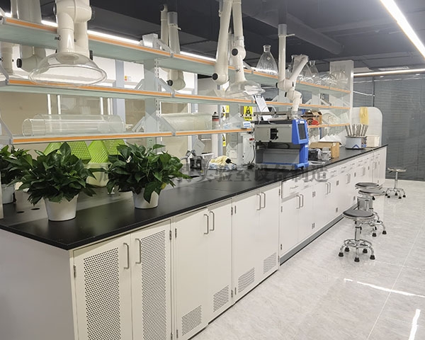 91香蕉APP在线观看