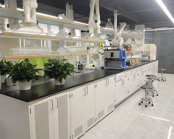 91香蕉APP在线观看